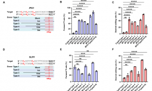 对话北大农研院张华伟：基因编辑工具就像光刻机，如果被“卡脖子”，什么也做不了