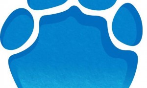 小米公司辟谣 “汽车工厂内电池产线起火” ：电芯被划伤造成电池包短路引起明火