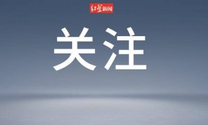 俄罗斯将对日本采取反制措施